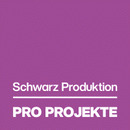 Pro Projekte GmbH & Co. KG